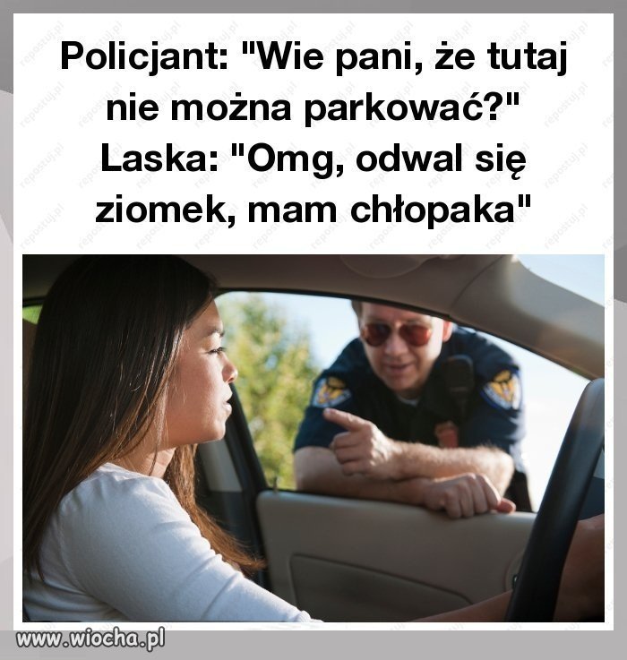 Laska vs policjant