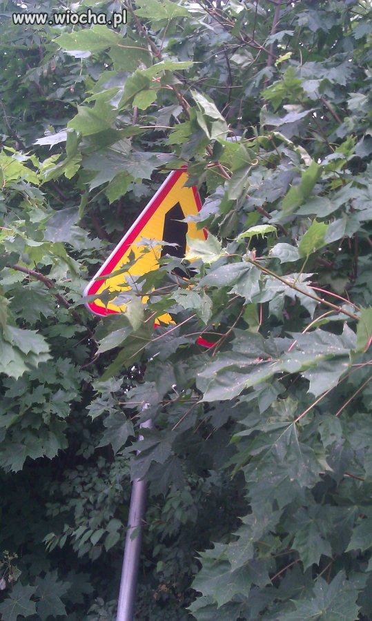 Naprawdę bardzo widoczny znak
