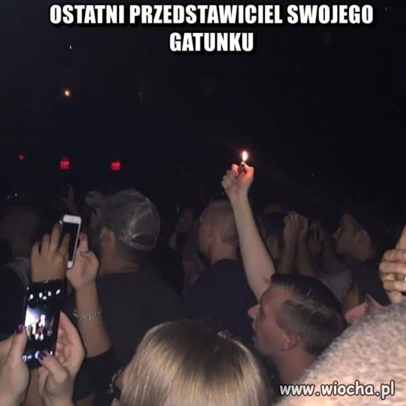 Ostatni przedstawiciel swojego gatunku