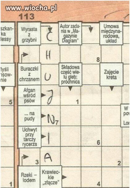 Krzyżówka