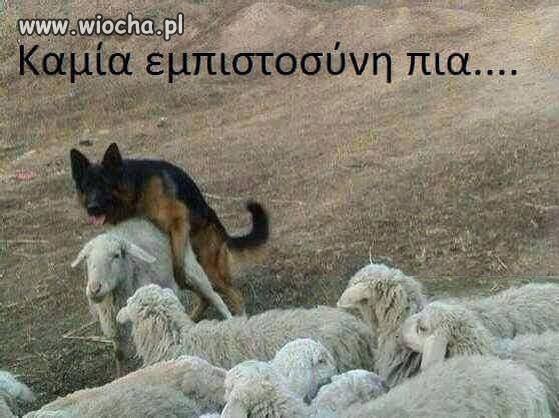 Jak najdzie ochota...