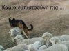 Jak najdzie ochota...