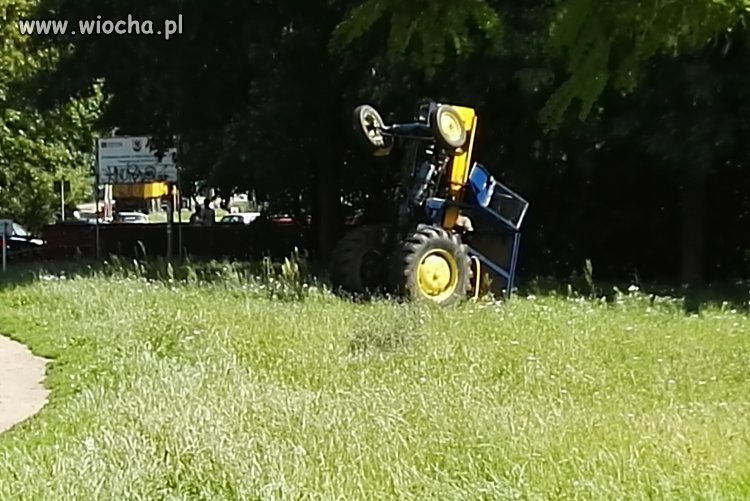 Rolnicza dola