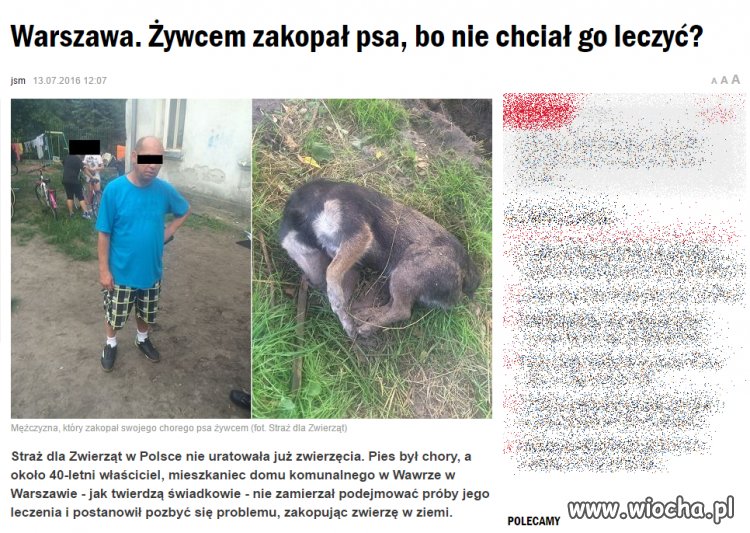 Tymczasem w stolicy
