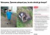 Tymczasem w stolicy
