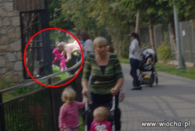 Pogłaskaj kochanie zwierzaczka...