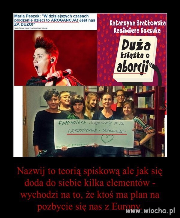 Logika feministek