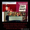 Logika feministek