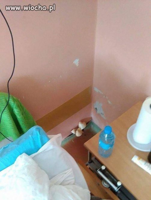 Szpital gdzieś w Polsce !