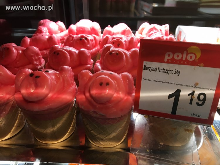 Codziennie uczymy się czegoś nowego