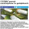Dobre te gołąbki musiały być 