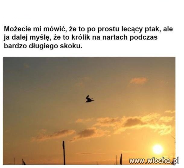 Mówcie co chcecie, ale ja wiem co widzę