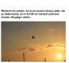 Mówcie co chcecie, ale ja wiem co widzę