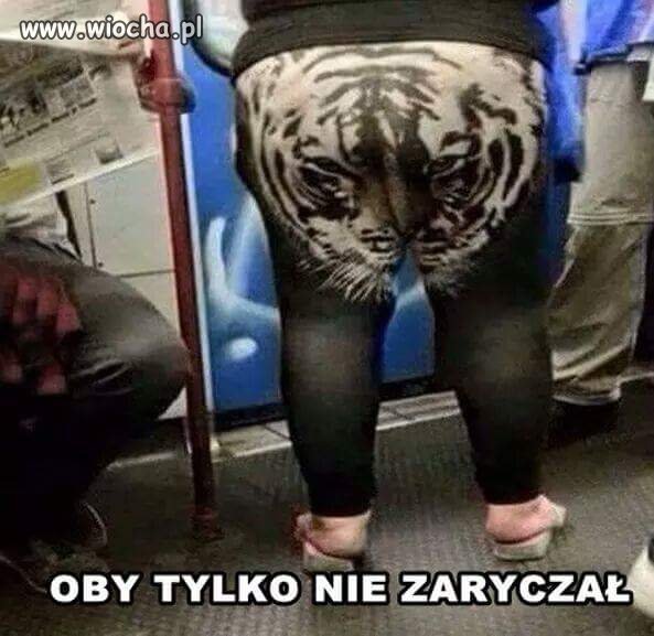 Biały rzadki bengalski potwór 