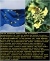 KE pozwała Polskę. Powód: