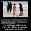 Trochę suchych