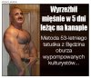 Reklamy w internecie