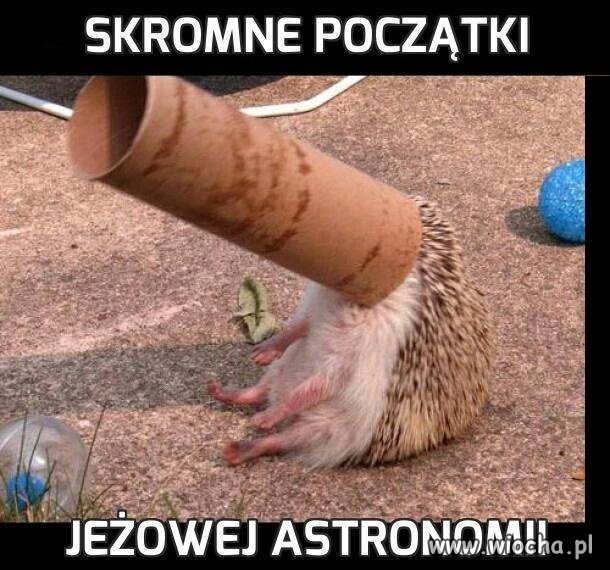Każdy kiedyś zaczynał