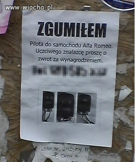 "Zgumiony" właściciel Alfy.