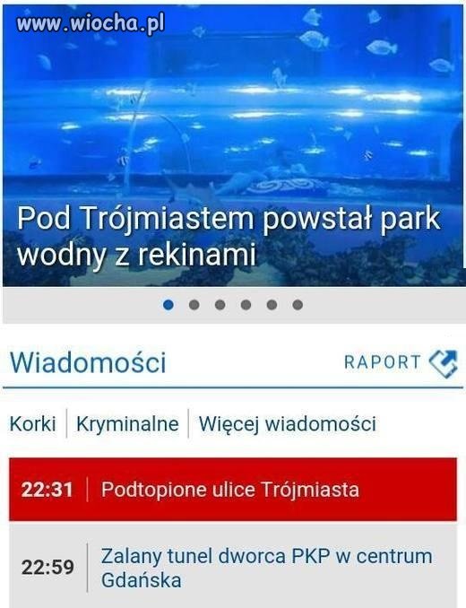 Przypadek?