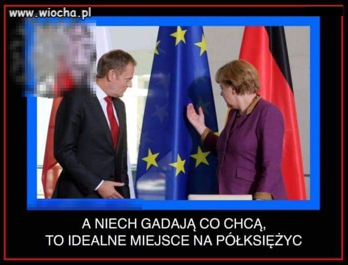 Wizje