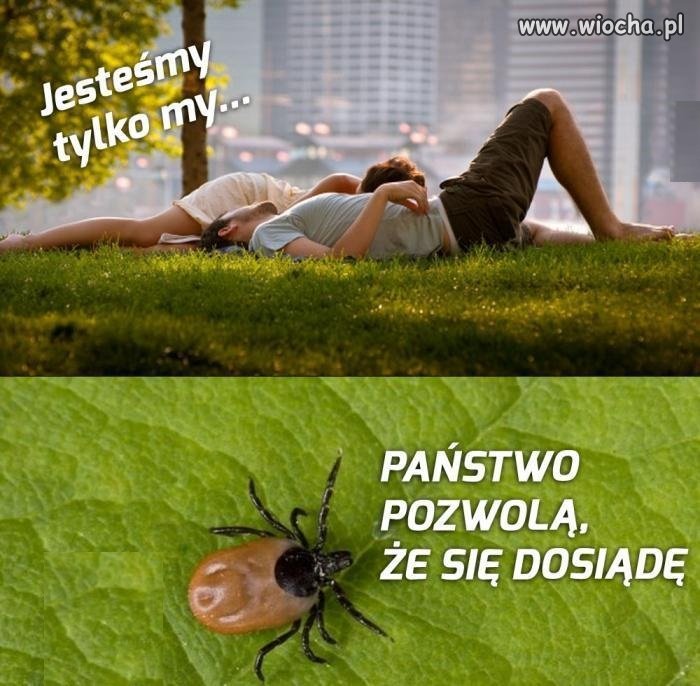 Czy to miejsce jest wolne?