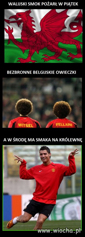 Czerwony Smok został Czarnym Koniem