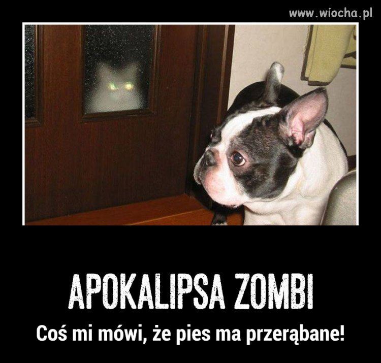 Apokalipsa Zombi