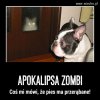 Apokalipsa Zombi