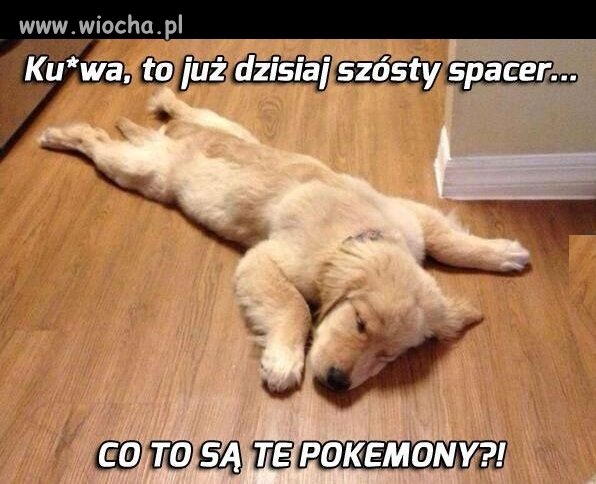Ile można łazić!?