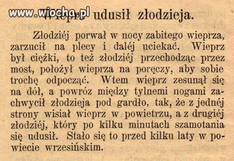 Wieprz konta złodziej.