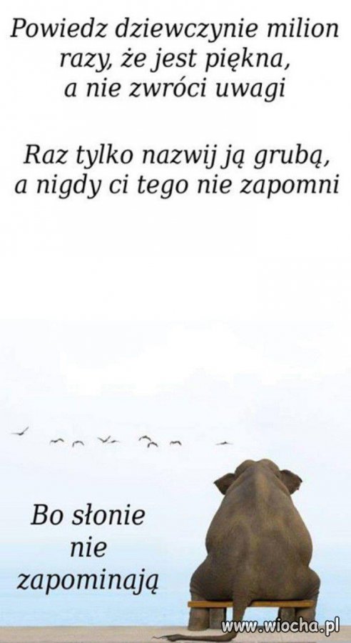Pamięć wybiórcza
