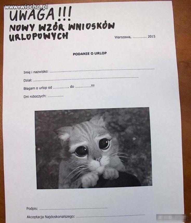 Składaliście już wniosek o urlop?