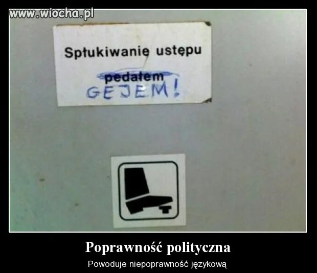 Poprawność polityczna 