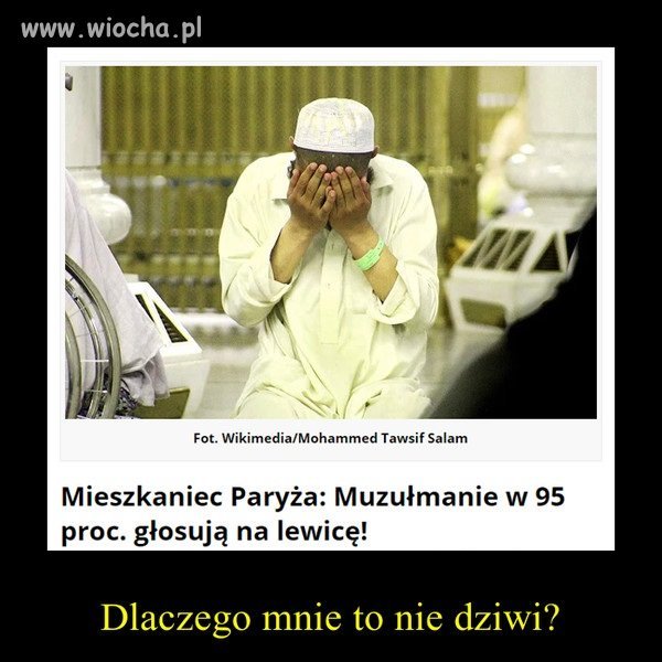 Nie dziwi nic.