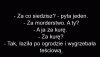 W celi siedzi dwóch skazanych