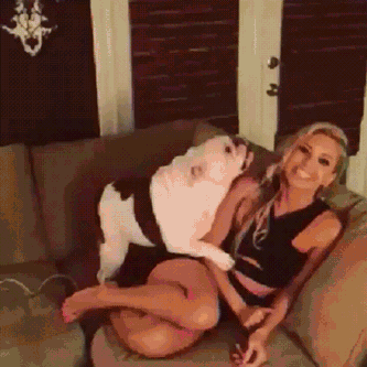 Blondynka z pieskiem lub na pieska.