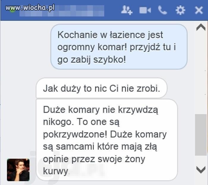 Duże komary są spoko