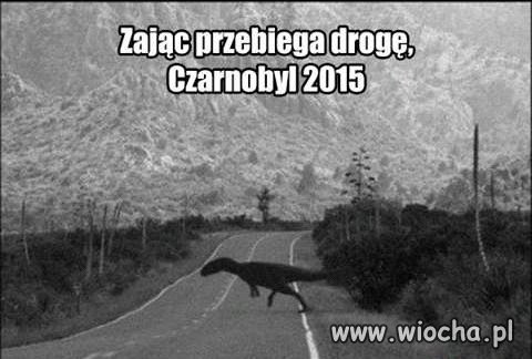 ZAJĄCZEK