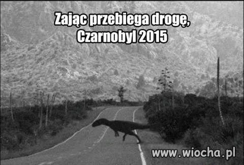 ZAJĄCZEK