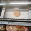 Konin Netto Świnia odwiedziła sklep 