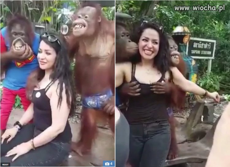 Turystka w zoo 