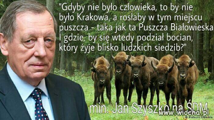 Bareja wiecznie