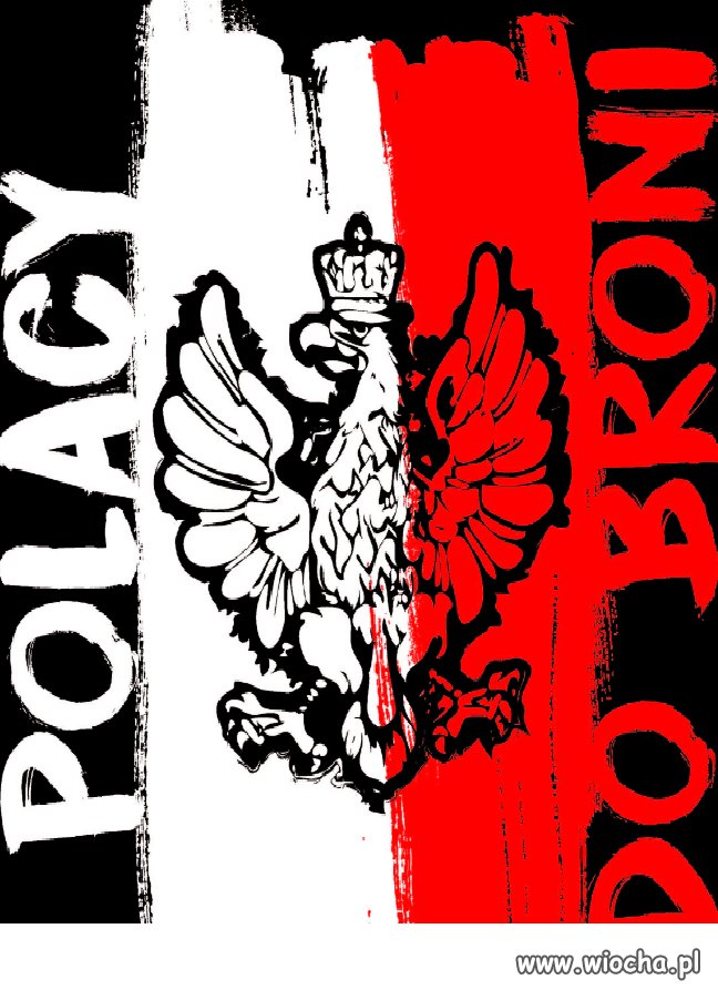 Polacy do broni!