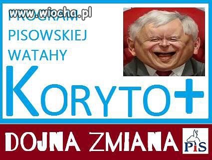 Nowy program koryto +