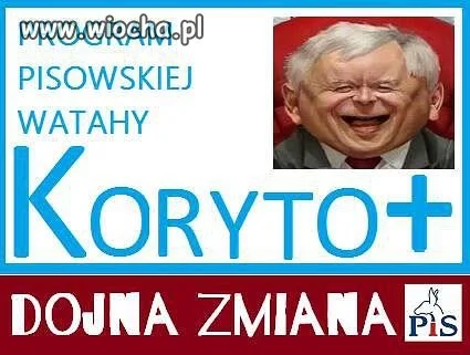 Nowy program koryto +