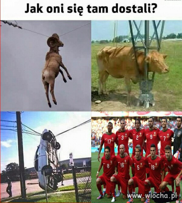 Jak oni się tam dostali