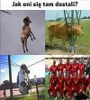 Jak oni się tam dostali