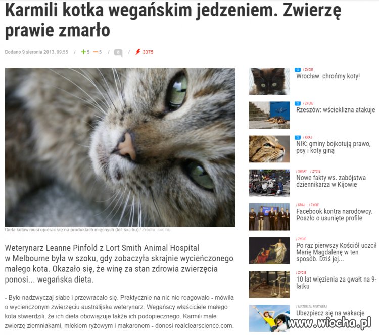 Weganizm - samo zdrowie.