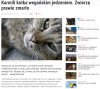 Weganizm - samo zdrowie.